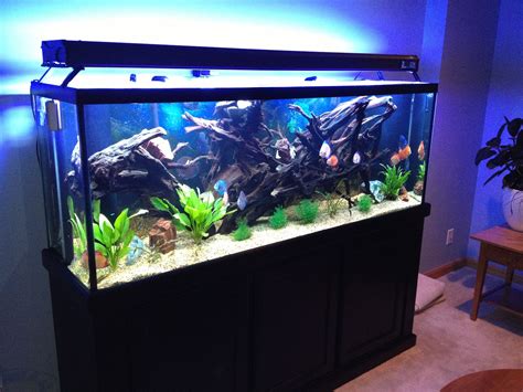 115 gallon aquarium|150 gallon aquariums for sale.